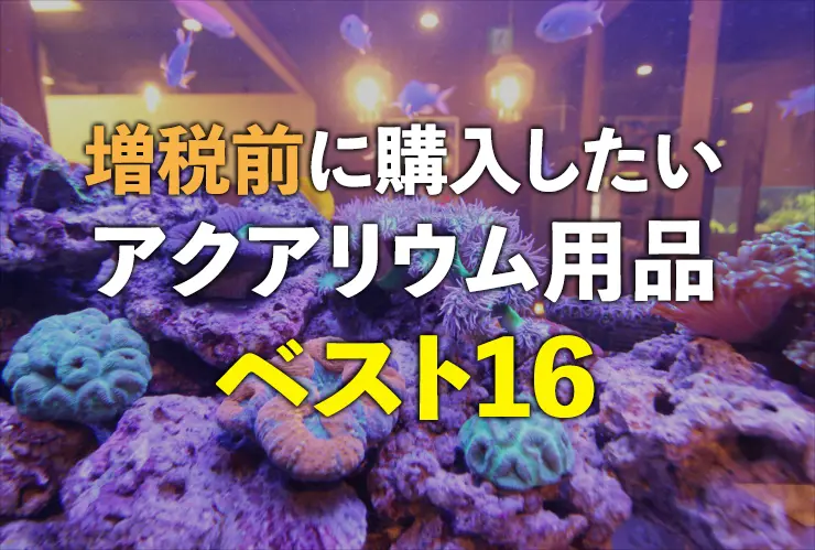 増税前に買っておきたいアクアリウム用品ベスト16!消耗品もおすすめ 増税前に買っておきたいアクアリウム用品ベスト16!消耗品もおすすめ