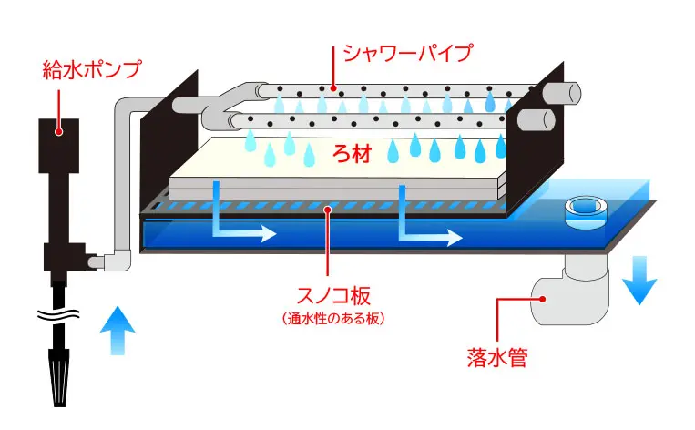 上部フィルターのしくみ！水槽にあわせて選ぶ注意点やメリット