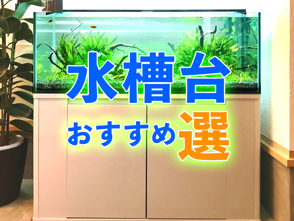 ニッソー NISSO 90cm 水槽 曲面ガラス 水槽台セット - 魚のエサ