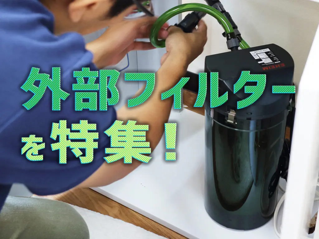 水槽用ろ過フィルターの種類のすべて【外部式・上部式など全7種解説