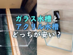 水槽は自作できる 自作方法と注意点5つ おすすめできない理由も解説 トロピカ