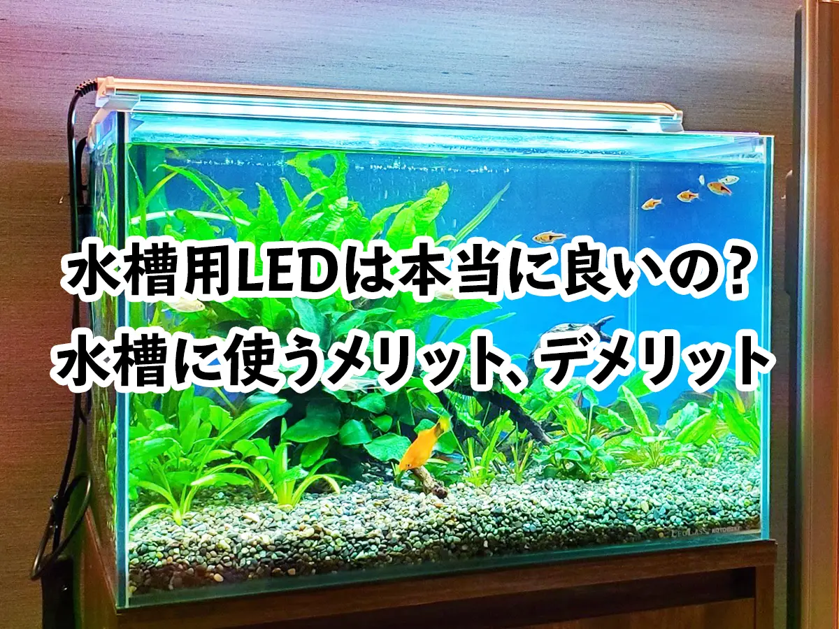 水槽用LEDは本当に良いの？水槽にLED照明を使うメリット、デメリット 