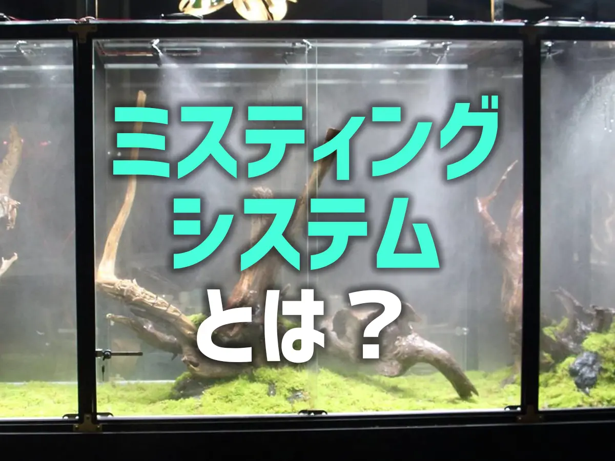 パルダリウムケージ+ミストシステム 自動で噴霧！ミスティングシステムとは？テラリウムやパルダリウムを潤