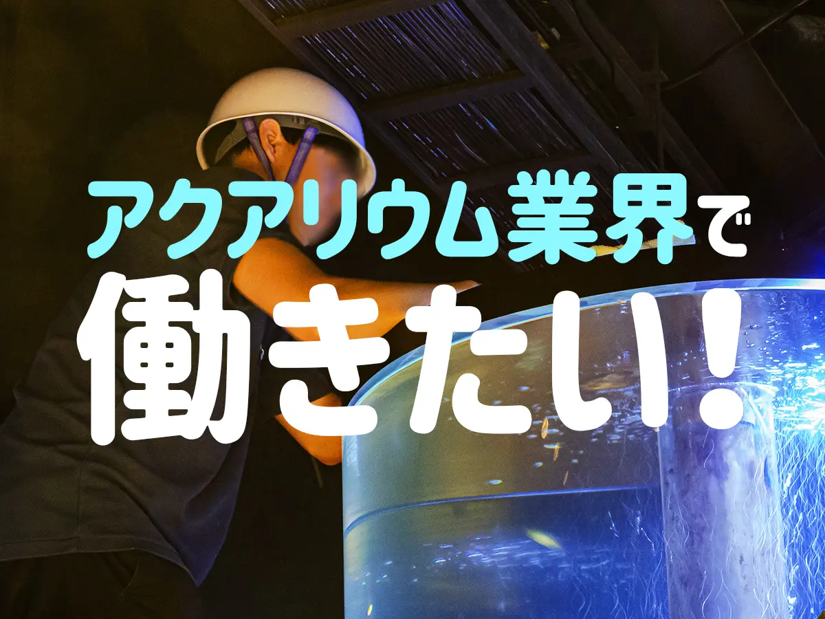 熱帯魚アクアリウム業界で働きたい！ショップ？問屋？就職先をまとめ 