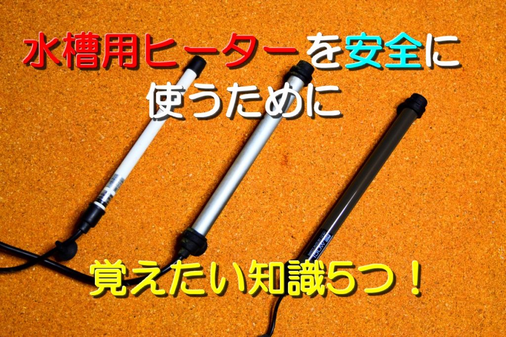 水槽用ヒーターを安全に使うために覚えたい知識5つ！バケツに使えない 