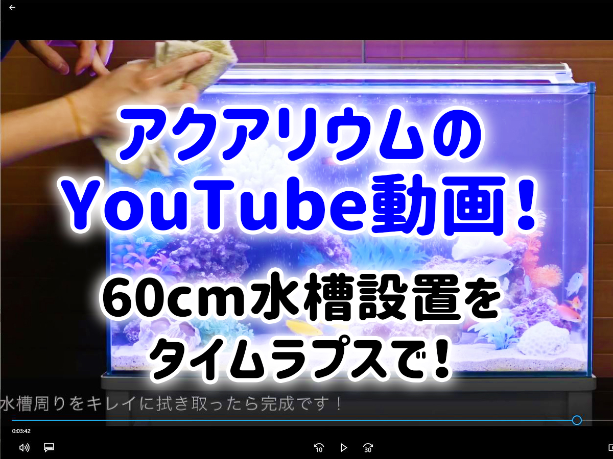 アクアリウムのyoutube動画 60cm水槽設置をタイムラプスで