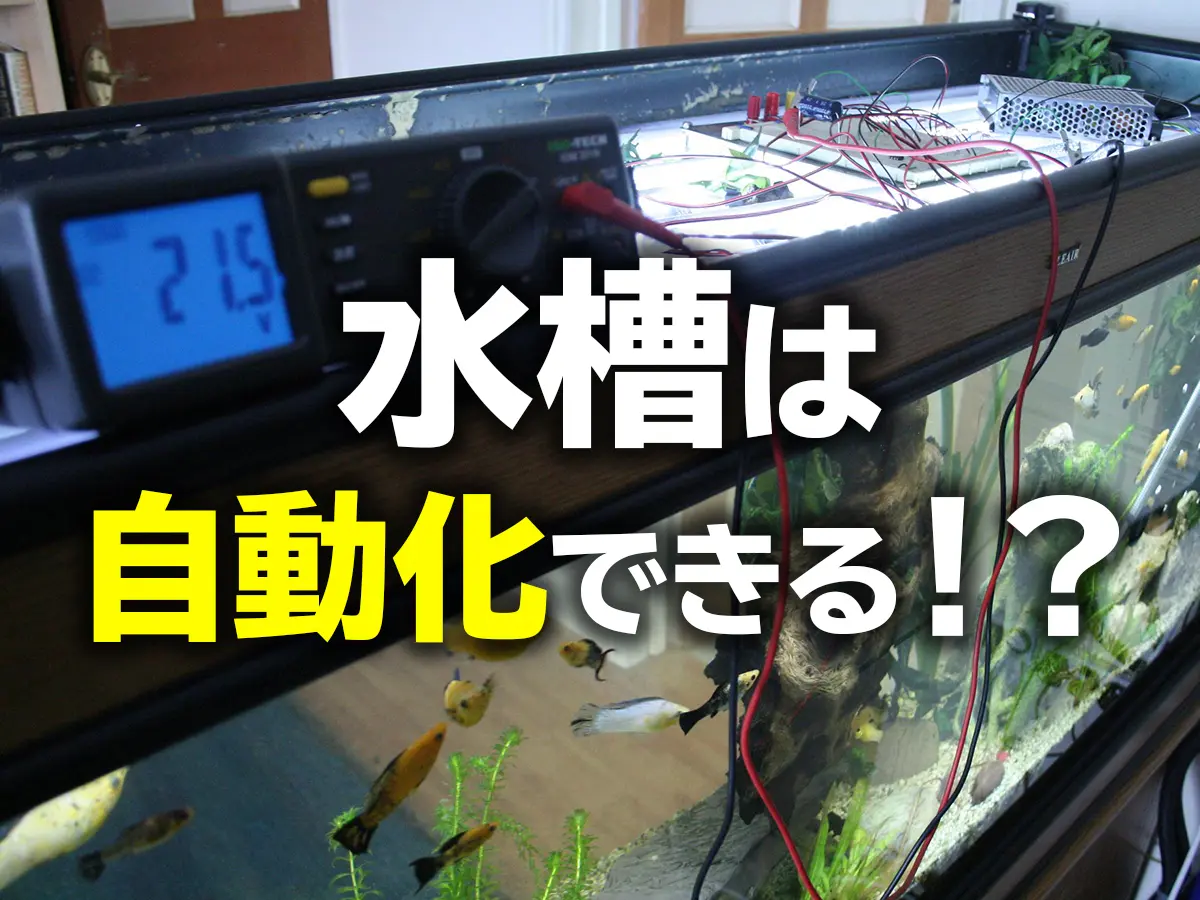 水槽を自動化して手間を減らそう！アクアリウム用品の自動アイテムを 