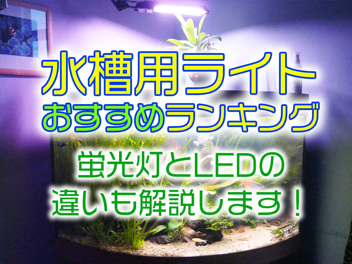水槽用ライトおすすめランキング15！蛍光灯とLEDの違いも解説します