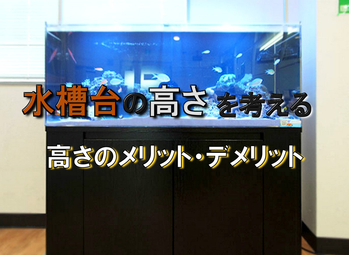 水槽台の高さを考える 目的別 設置場所別 高さのメリット デメリット トロピカ