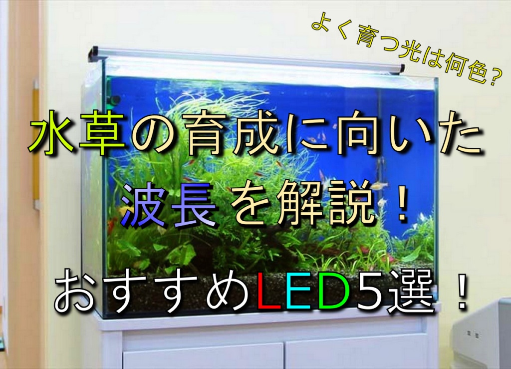 e1c6fad12a9e268ab747ff93bea6db