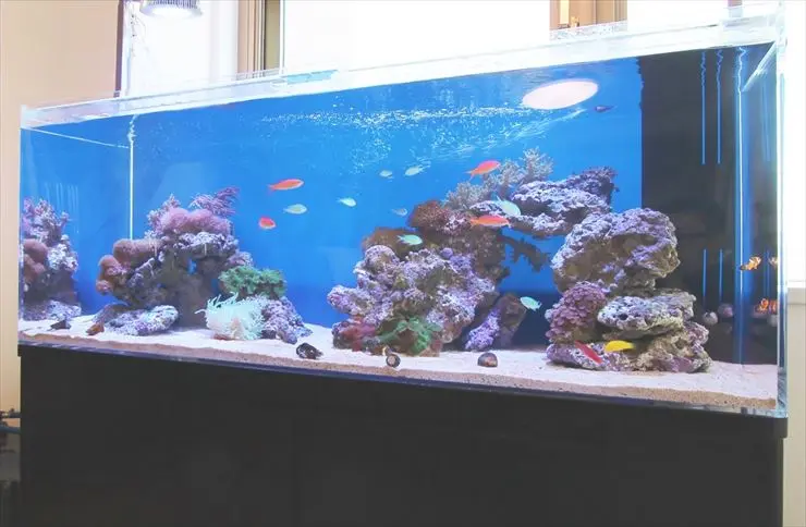 大型水槽を設置したいけど不安】大型水槽設置のポイントをプロが解説