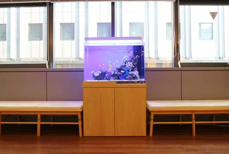 高級な水槽台を手に入れよう！気になる重量や材質、おすすめの商品まで