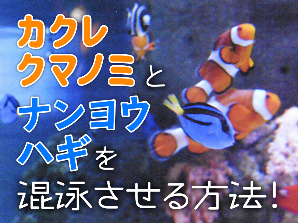 tr_kakure_nanyou-1024x768.jpg