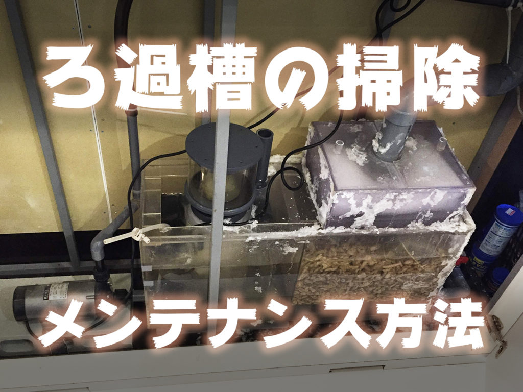 【代理出品】巨大水槽 OF濾過材付き フルセット【加藤家大掃除】 tr_rokasou_souji-1024x768.jpg