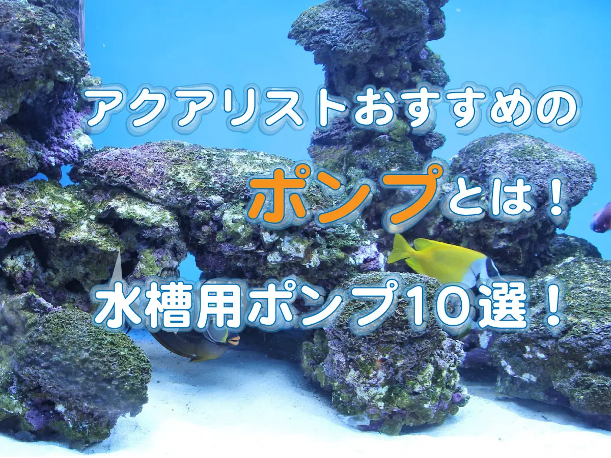 水槽用具 大量 色々まとめて！ヒーター、ポンプ、水槽、流木、その他etc. アクアリストおすすめのポンプとは！水槽用ポンプ10選！流量についても