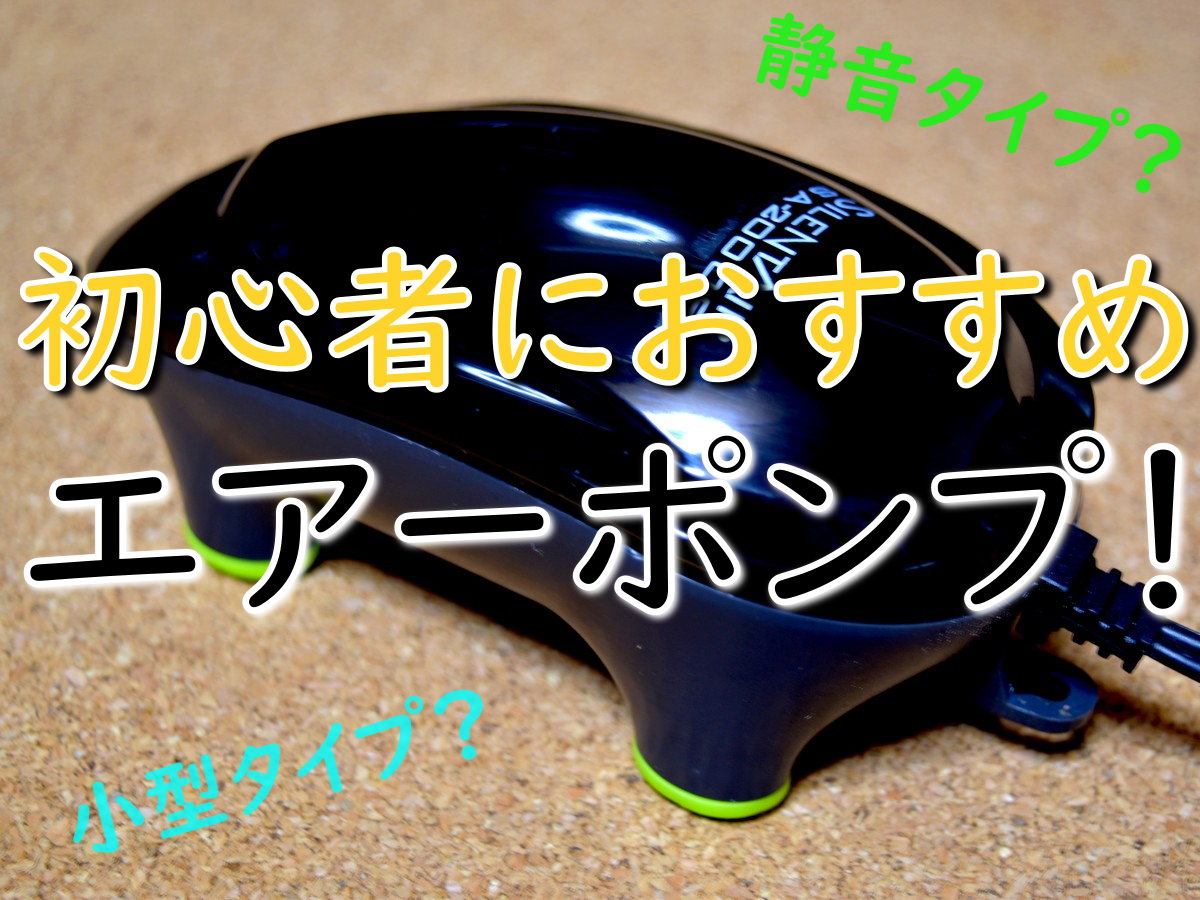 初心者におすすめエアーポンプ！静音タイプ・小型タイプの使いやすい