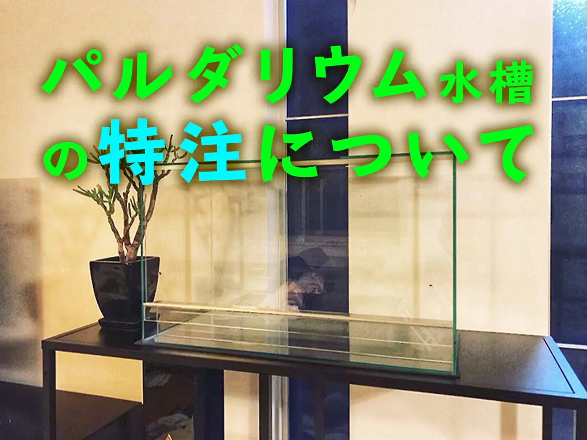 パルダリウム水槽を作ろう！熱帯植物水槽なら専門店への特注がおすすめ