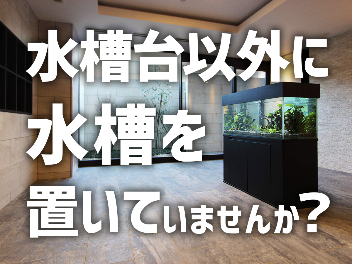 水槽台以外に水槽を置いていませんか 注意点や判断基準を解説します トロピカ