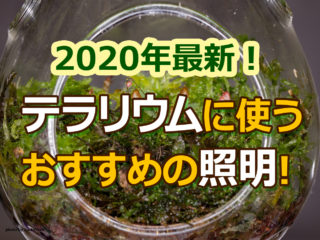 2020年最新!テラリウムに使うおすすめの照明!最新や人気の照明を特集