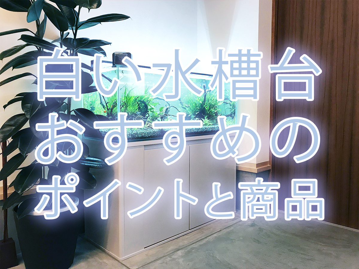 白い水槽台でレイアウト 清潔感がある白い水槽台のおすすめ商品を紹介 トロピカ