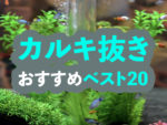 カルキ抜きしないとどうなるの 魚が死んじゃうの 影響を考えます トロピカ