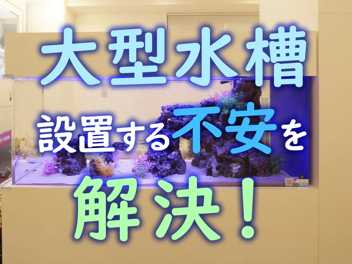 大型水槽を設置したいけど不安】大型水槽設置のポイントをプロが解説 