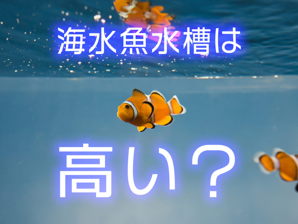 海水魚と水槽の中のもの好きなだけ プロが教える】海水魚水槽を立ち上げるための基礎知識と設備の価格