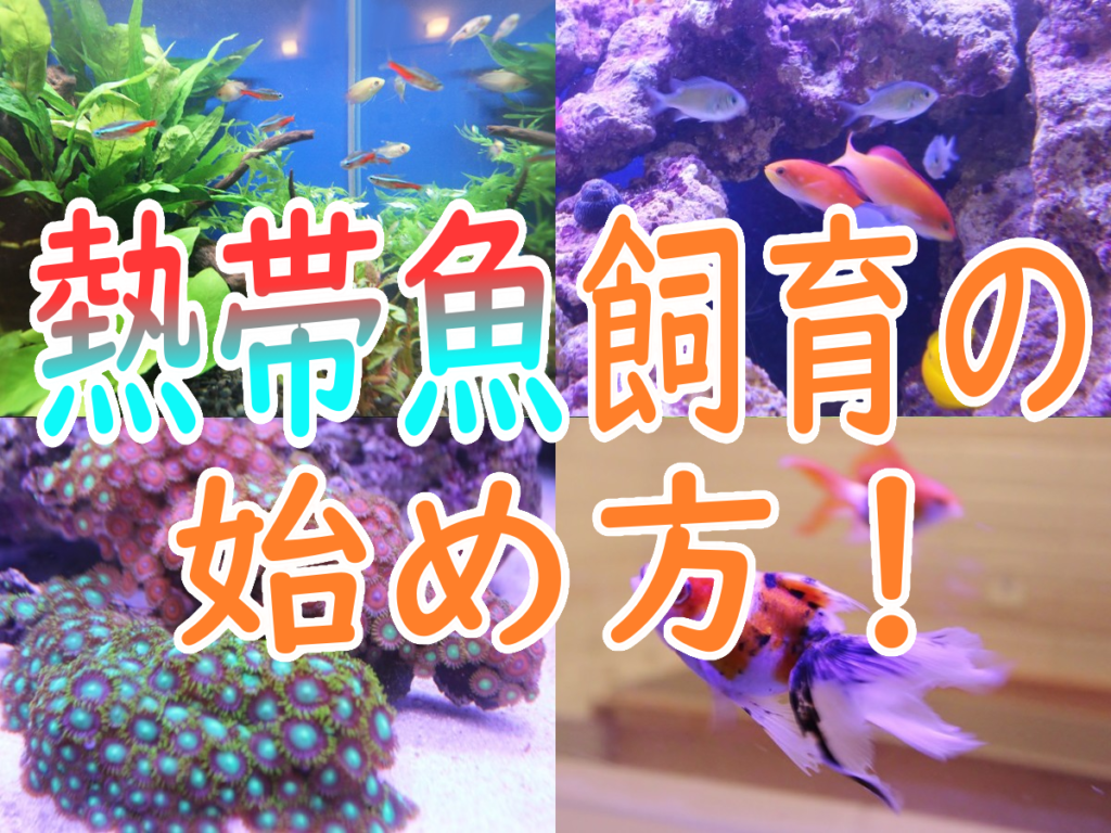 2d48f86d76e27abe973ef85b6c4f28 