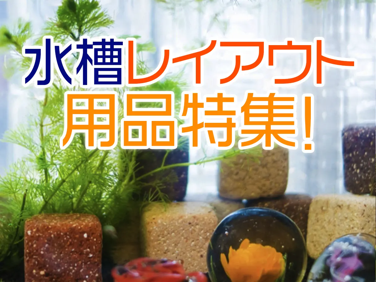 水槽レイアウト用品特集!流木や石以外の水槽用アクセサリーをご紹介し 水槽レイアウト用品特集!流木や石以外の水槽用アクセサリーをご紹介し