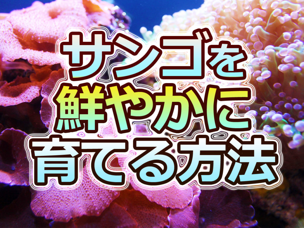 tro0829_sub-1024x768.jpg