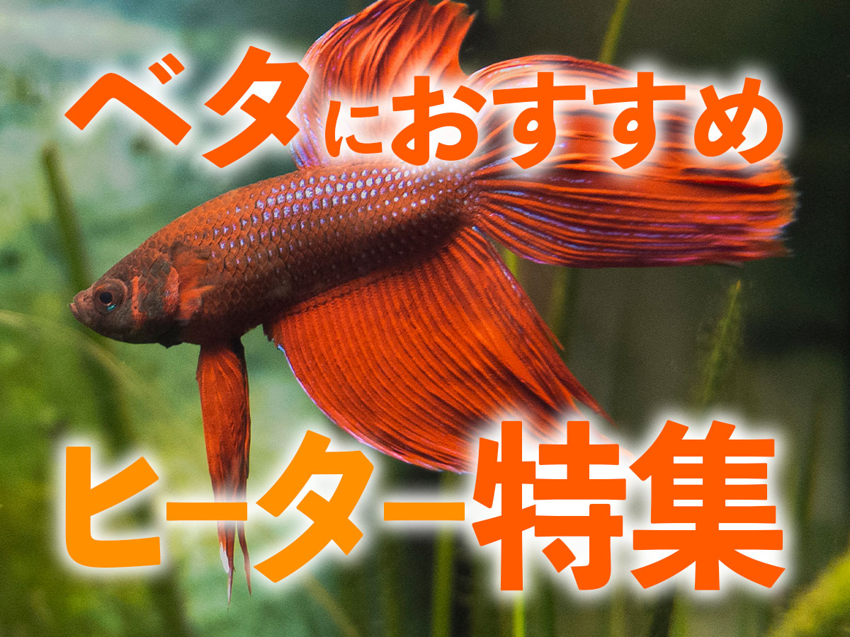 ブランド品専門の Kaiyopop 水槽 ヒーター 熱帯魚 金魚 用