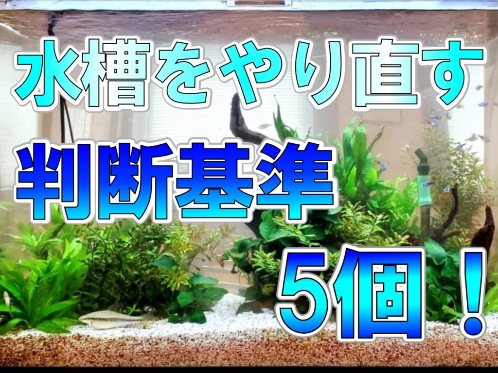 b8cd07b2626d2962a62455b69e5f7c