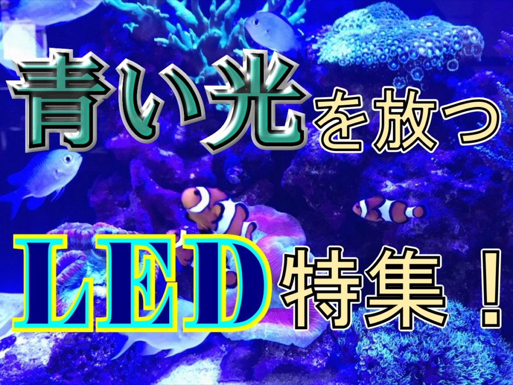 bd5fe8f0857f0f2f8cf2d37da14ca7