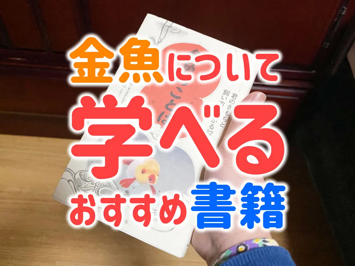 金魚について学べるおすすめ書籍7選！飼育の参考本などをご紹介 