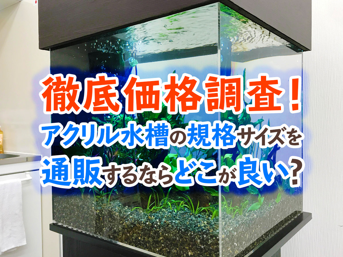 徹底価格調査 アクリル水槽の規格サイズを通販で購入するならどこが良い トロピカ