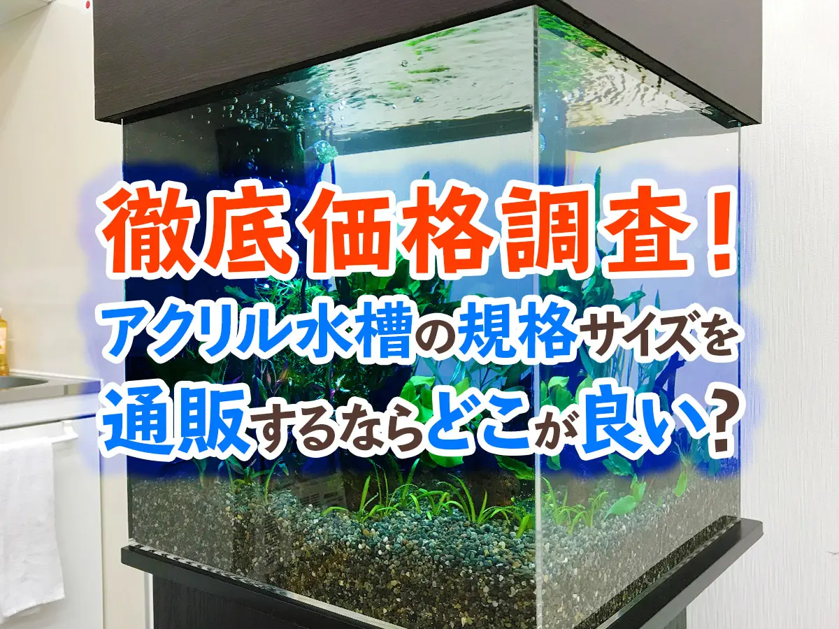 1/4更新・アクリル水槽の価格を徹底調査！規格サイズを通販で購入する