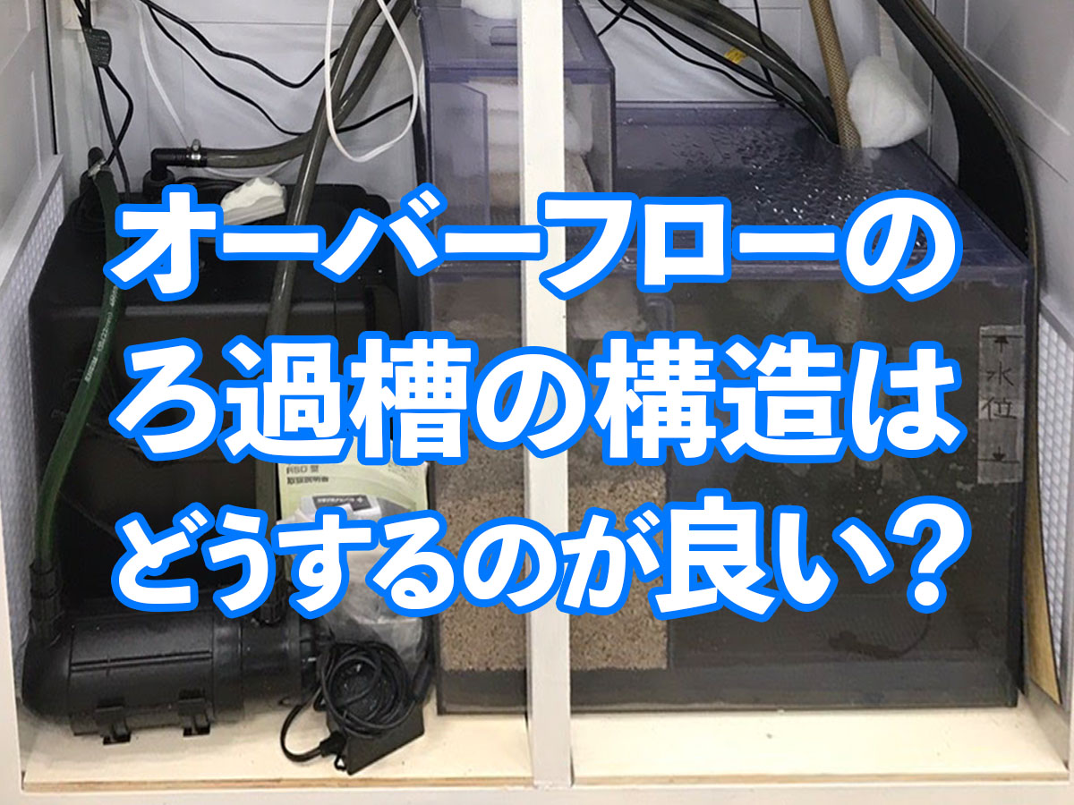 オーバーフロー用ろ過槽はどんな構造がおすすめ アクアリストの意見とは トロピカ