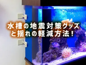 水槽台+キャノピー（上部カバー） No.685 img550_01.jpg.webp