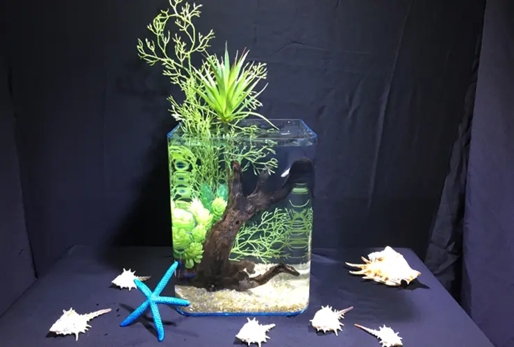 アクアリウムはショッピングモールで買える！大型店にある水槽グッズ