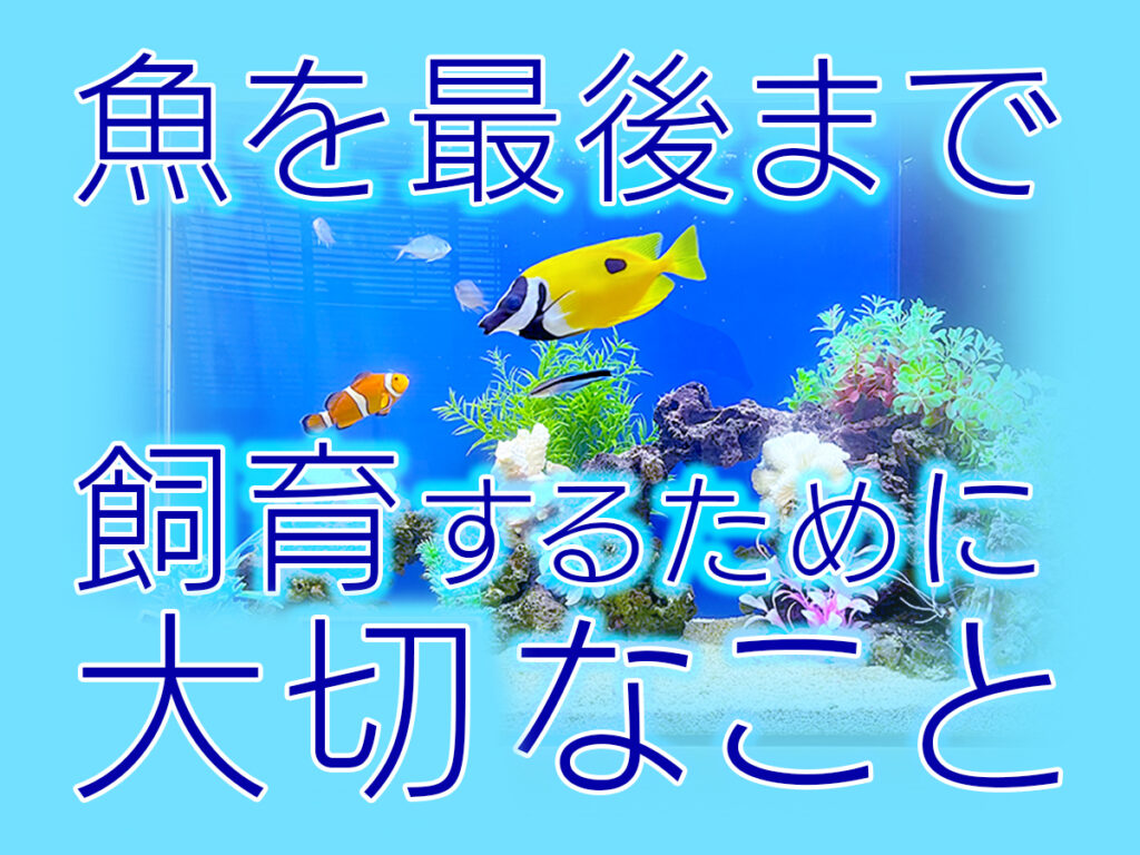 膵臓分裂はどのように診断されますか?