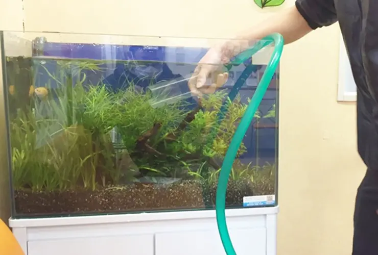 水槽の常備品とは！アクアリウムで必ず使う・緊急時の備品を考える 