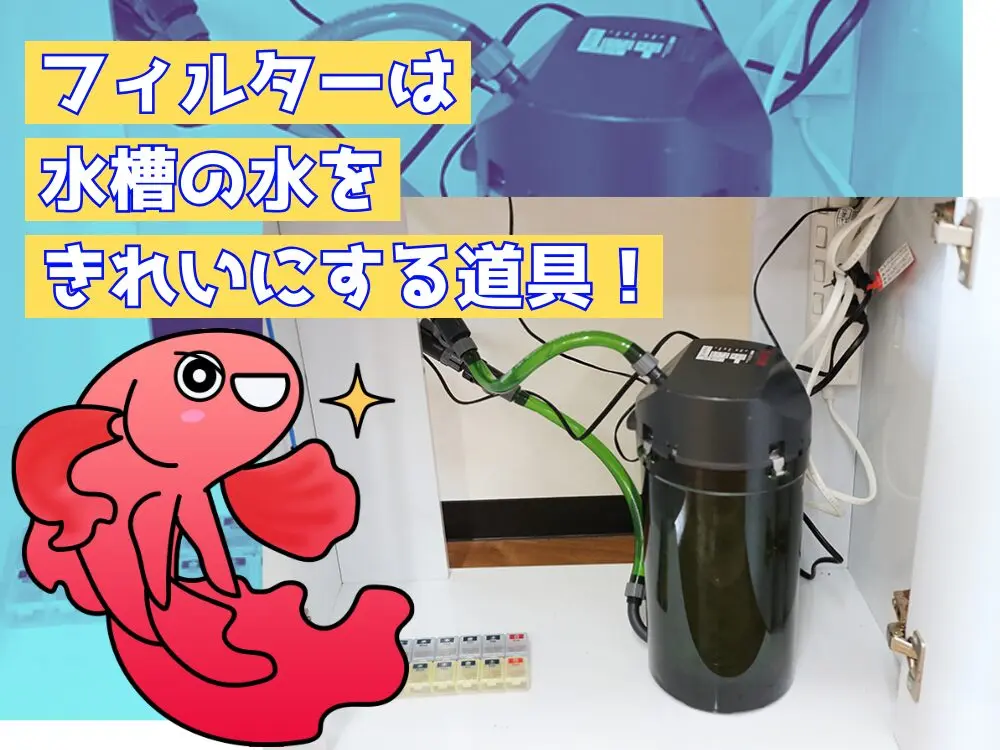 フィルターって何？アクアリウムかんたん解説｜アクアリウム情報 