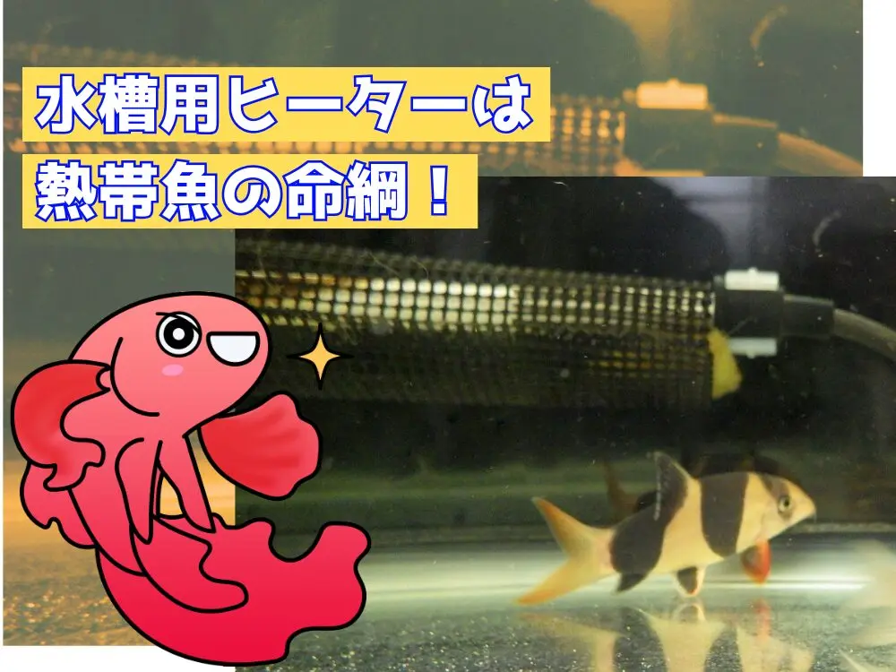 水槽用ヒーターって何？アクアリウムかんたん解説｜アクアリウム情報 