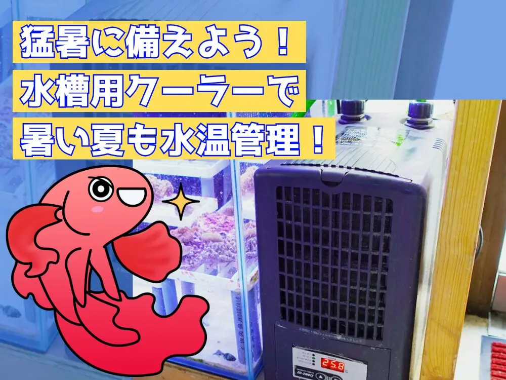 thumb_trodoor_cooler.jpg.webp