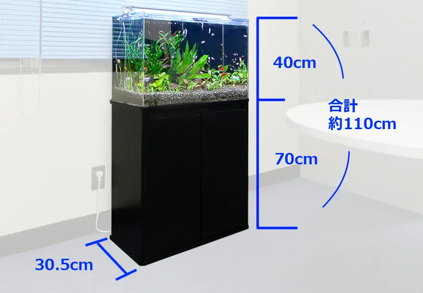 水槽などまとめて aquarium_quake_2025_img01.jpg.webp