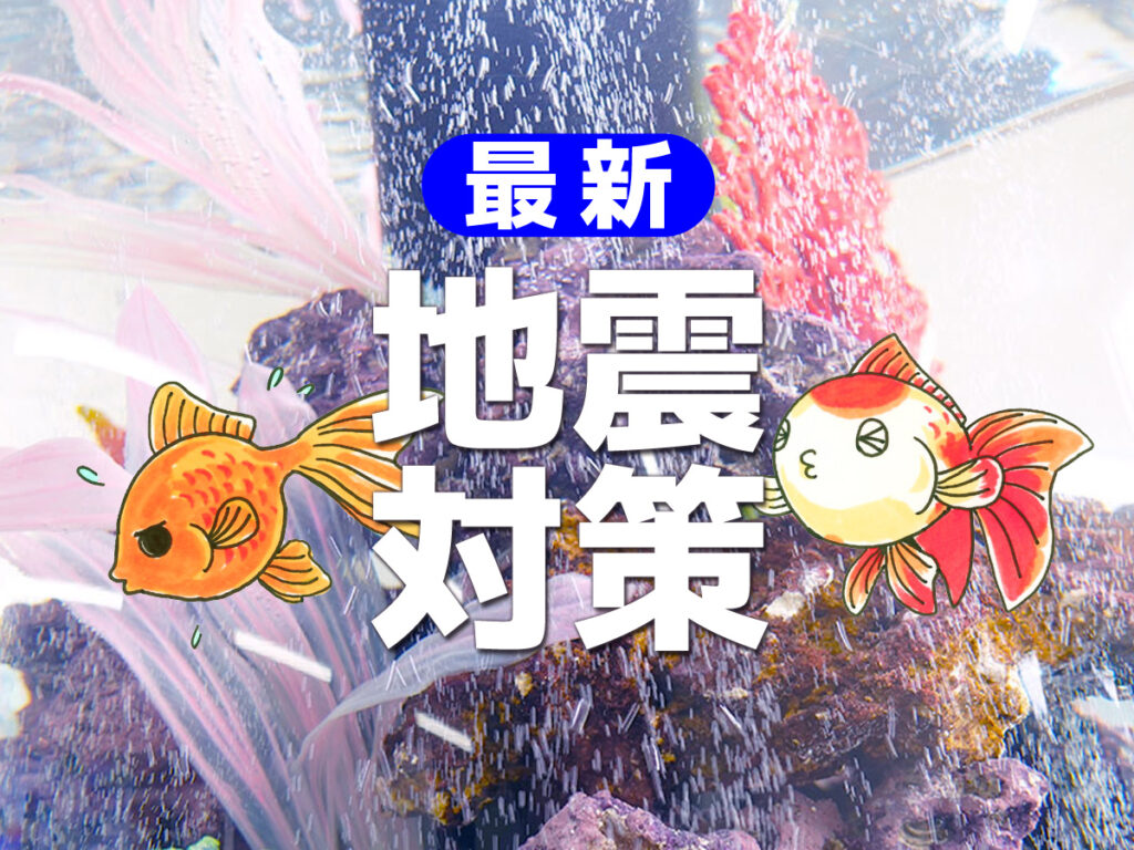 2026年アクアリウム×地震 完全ガイド！地震が起きた時の水槽の備えや