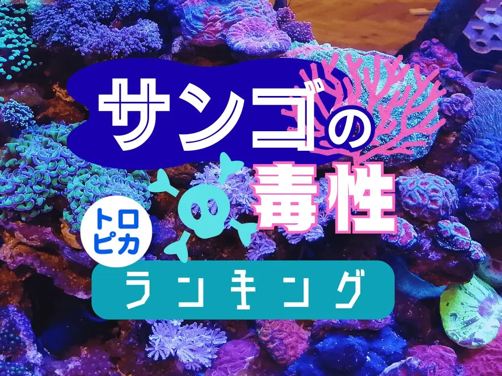 アクアリウム情報メディア トロピカ